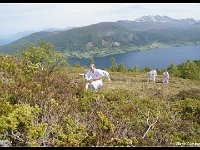 2011 06 05 4550-border